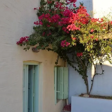 Hotel Bouganvilla, Elegant And Peaceful Garden