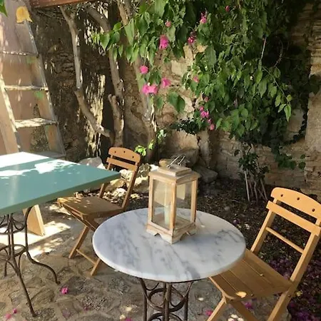 Bouganvilla, Elegant And Peaceful Garden