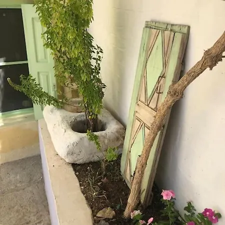 Bouganvilla, Elegant And Peaceful Garden