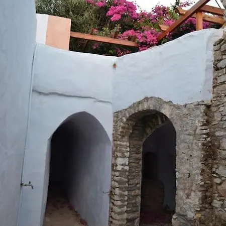 Hotel Bouganvilla, Elegant And Peaceful Garden *